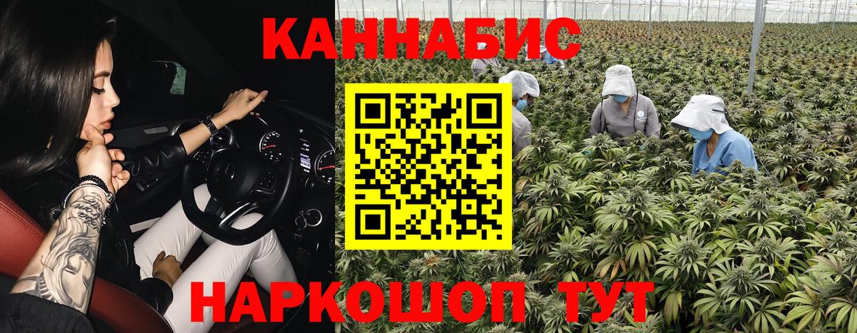 Шишки марихуана планчик  Марихуана сатива  Бошки Шишки THC 21%  Вход с VPN  Иваново  Каннабис AK-47 